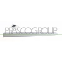 Zier-/Schutzleiste Tür PRASCO für PEUGEOT 206+...