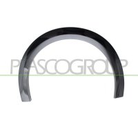 Widening fender PRASCO for PEUGEOT 208 II