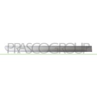 Zier-/Schutzleiste Tür PRASCO für PEUGEOT 307...