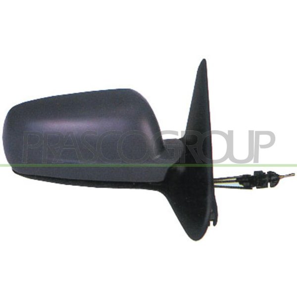 Exterior mirror PRASCO for SEAT LEON (1M1)