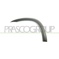 Widening fender PRASCO for TOYOTA RAV 4