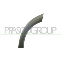 Widening fender PRASCO for TOYOTA RAV 4