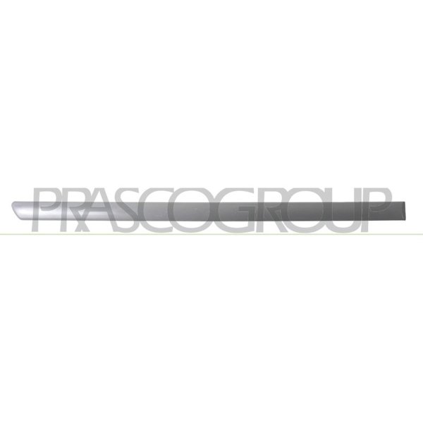 Zier-/Schutzleiste Tür PRASCO für VW GOLF IV