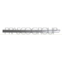 Zier-/Schutzleiste Tür PRASCO für VW GOLF IV