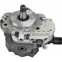 High Pressure Pump Common Rail METZGER IAM-Expertise...