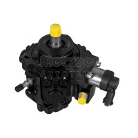 High Pressure Pump Common Rail METZGER IAM-Expertise for...