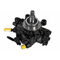 High Pressure Pump Common Rail METZGER IAM-Expertise for...