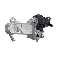 Egr Module 12 V electric 5-pin water-cooled HELLA for...