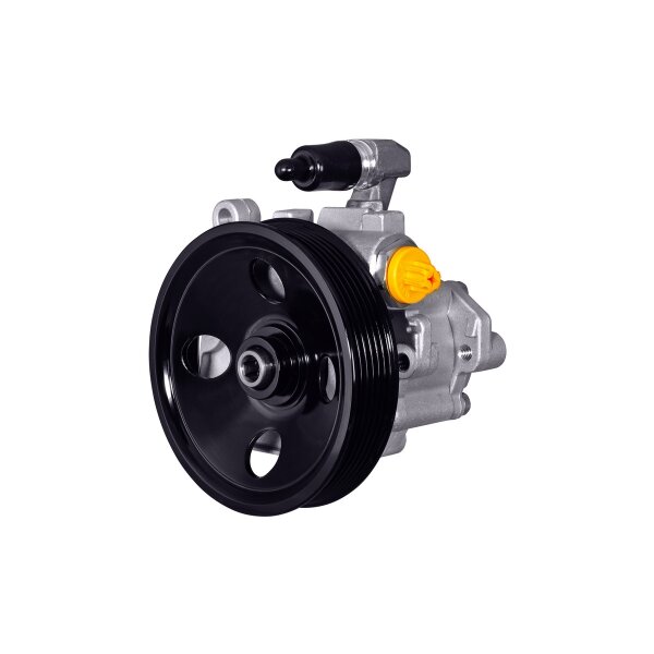 Hydraulikpumpe Lenkung 100 bar HELLA für u.a. MERCEDES-BENZ M-Klasse