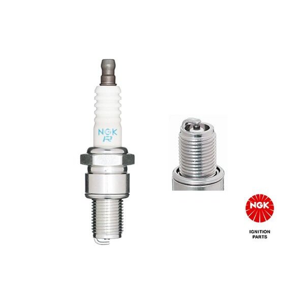 10 spark plugs Thread type M14 x 1.25 fixed SAE connection NGK