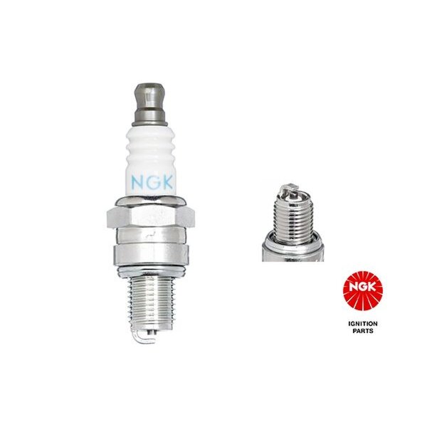 10 spark plugs M10 x 1.0 fixed SAE connection NGK for e.g. HONDA