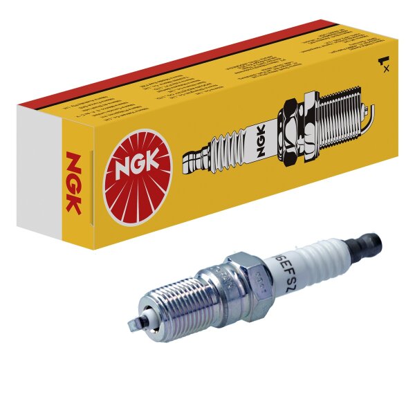 10 spark plugs M14 x 1.25 fixed SAE connection NGK for ALPINE V6