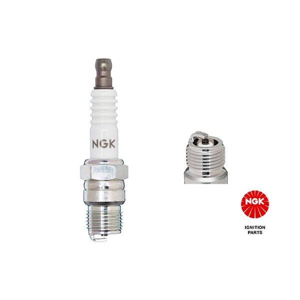 10 spark plugs 16 mm NGK for H100 bus