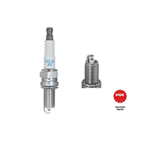 10 spark plugs M12 x 1.25 fixed SAE connection NGK for FIAT PUNTO and others