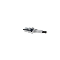 10 spark plugs M14 x 1.25 fixed SAE connection NGK for e.g. AUDI A8