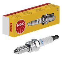 10 spark plugs M10 x 1.0 fixed SAE connection NGK for...
