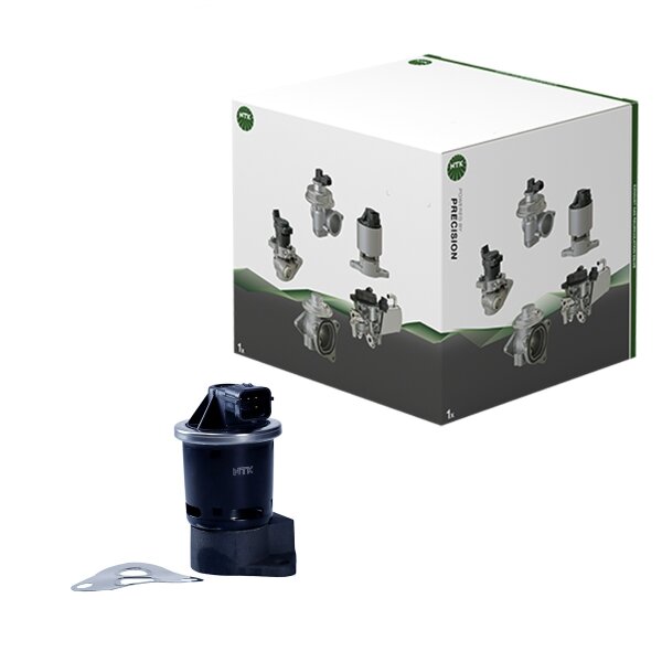 AGR-Ventil elektrisch Aluminium mit Dichtungen NTK für u.a. DAEWOO REZZO