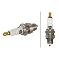 Spark Plug 1-mass electrode M14 x 1.25 22 Nm HELLA for e.g. RENAULT 5
