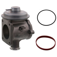 Gasket EGR Valve Diaphragm valve pneumatic without Seal...