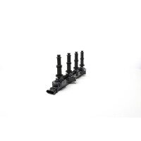 Ignition Coil 6-pin METZGER IAM-Expertise suitable for e.g. ALFA ROMEO 159