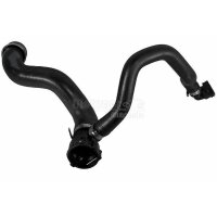 Kühlerschlauch rechts oben von Motor nach...