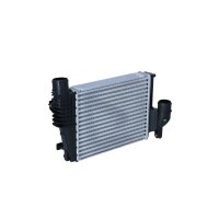 Intercooler 300 mm - 249 mm NRF suitable for e.g. CITROËN JUMPY