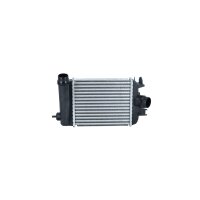 Intercooler 255 mm - 217 mm NRF suitable for e.g. RENAULT...