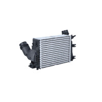 Intercooler 282 mm - 217 mm NRF for RENAULT TALISMAN and others