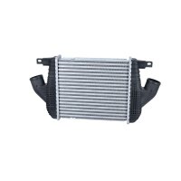 Intercooler 305 mm - 272 mm NRF suitable for e.g. RENAULT...