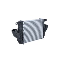 Intercooler 305 mm - 272 mm NRF suitable for e.g. RENAULT TRUCKS