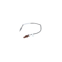 Exhaust gas temperature sensor with synthetic grease...