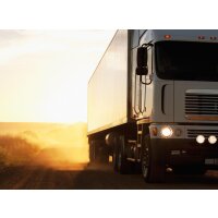 2 Interior bulbs 24V 1W W2x4.6d OSRAM ORIGINAL suitable for cars