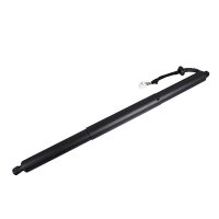 Elektromotor Heckklappe links rechts 640mm METZGER...