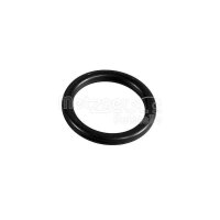 Sealing Ring Ø 16.9 mm 2.62 mm FPM fluorine rubber...
