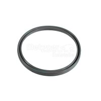 Sealing Ring Ø 50.4 mm 4.55 mm FPM fluorine rubber...