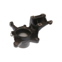 Achsschenkel Radaufhängung Gusseisen TRISCAN für u.a. FIAT DUCATO