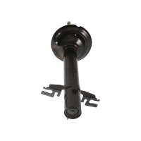Shock Absorber Gas pressure strut TRISCAN IAM-Expertise...