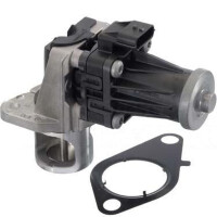 Egr Valve Control valve with Seal PIERBURG for e.g....