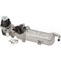 Cooler exhaust gas recirculation 12V electric PIERBURG...