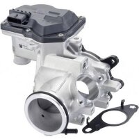 Egr Valve 12 V Control valve with Seal PIERBURG for LAND...