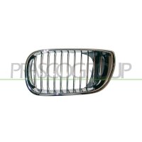 Kühlergitter PRASCO für BMW 3 (E46)