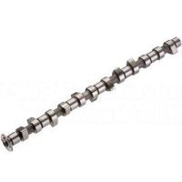 Camshaft KOLBENSCHMIDT IAM Expertise suitable for e.g....