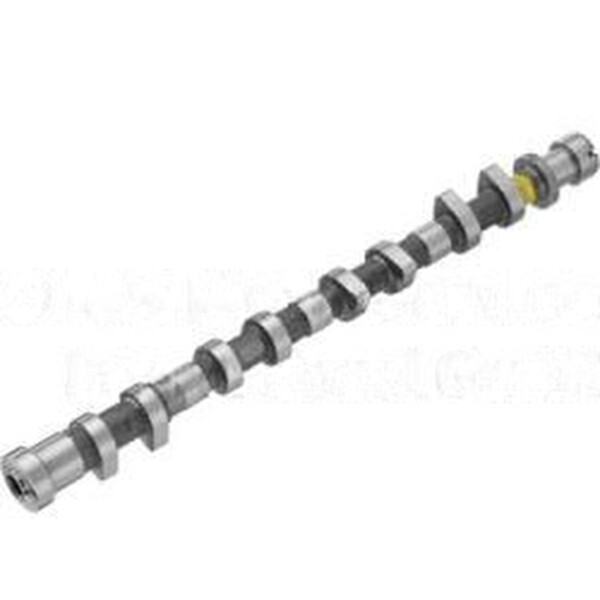 Nockenwelle Auslassseite gegossene Welle KOLBENSCHMIDT für u.a. RENAULT TRUCKS