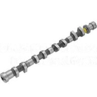 Nockenwelle Auslassseite gegossene Welle KOLBENSCHMIDT...