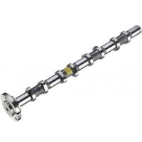 Nockenwelle Einlassseite gegossene Welle KOLBENSCHMIDT...