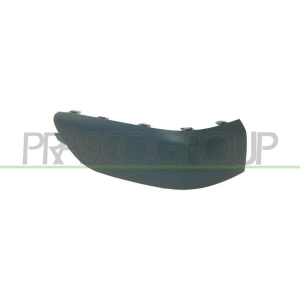 Decorative/protective strip bumper PRASCO for PEUGEOT 307 Break