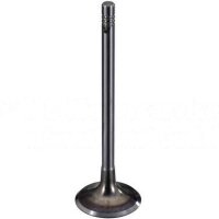 Inlet valve 6mm chrome-silicon steel TRW for AUDI A1...