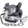 AGR-Ventil PIERBURG für u.a. SEAT Ibiza IV 7.24809.98.0