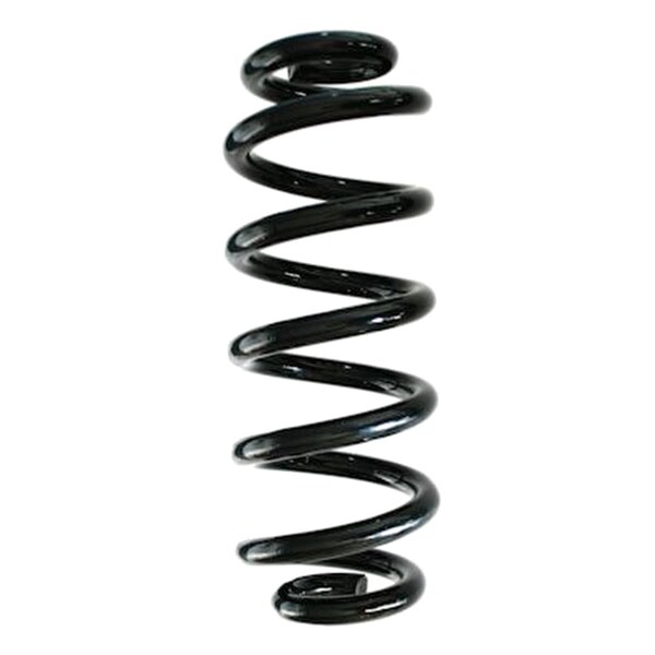SPIDAN GKNW10190 Fahrwerksfeder hinten