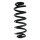 SPIDAN GKNW10190 Fahrwerksfeder hinten